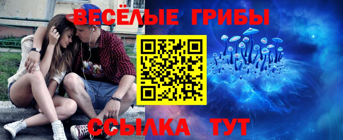 купить наркотики цена  Вход с VPN  Тольятти  Галлюциногенные грибы Psilocybine cubensis 