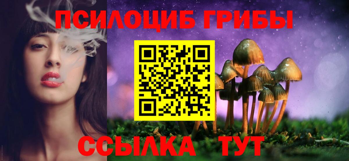 Галлюциногенные грибы Cubensis Тольятти